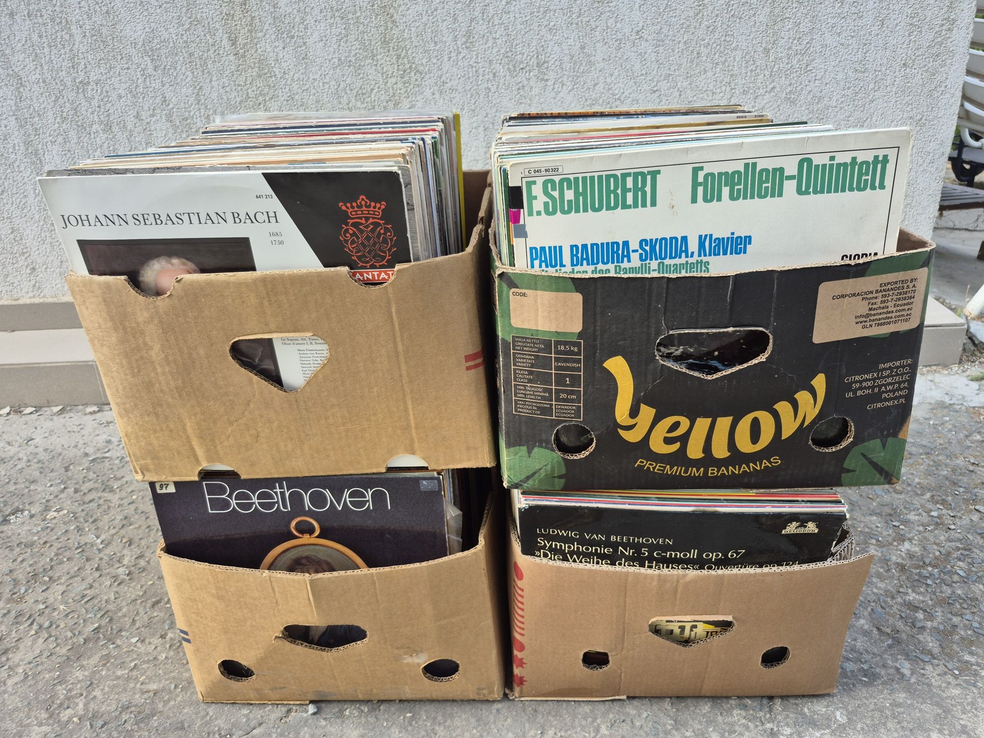 Lot Discuri Vinil colectie 200 in stare buna cu muzica clasică 

- Tot