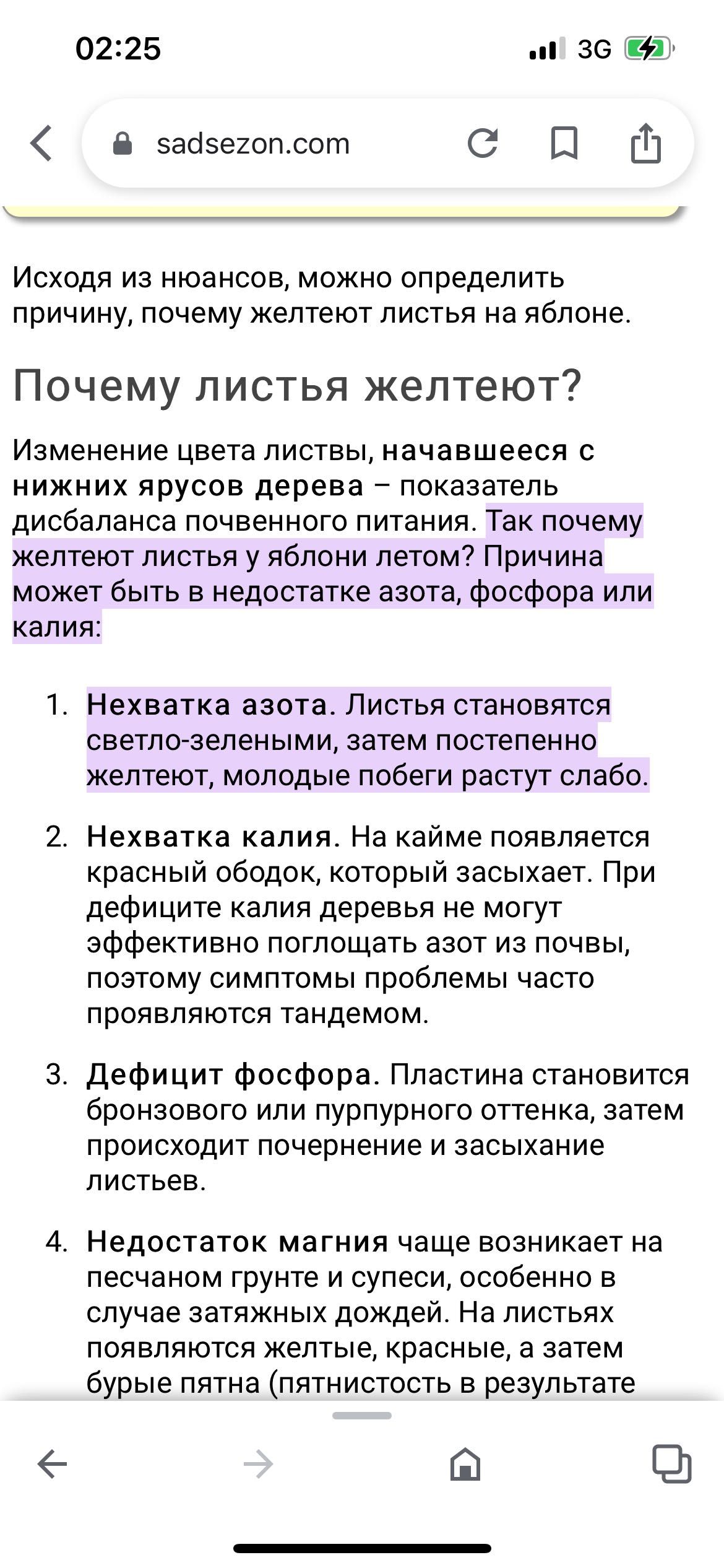 Еркек тайлар сатылады ірі тұқымды балаларыңызға жазғы ермек