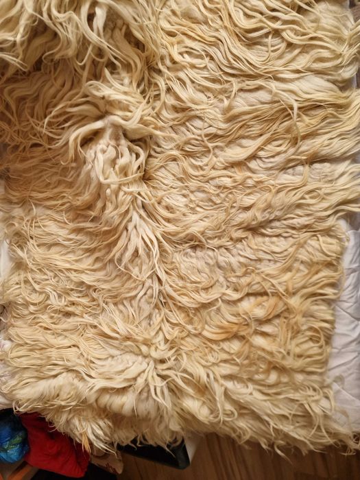 Дълъг косъм Козяк / Халище / Губер / Китеник