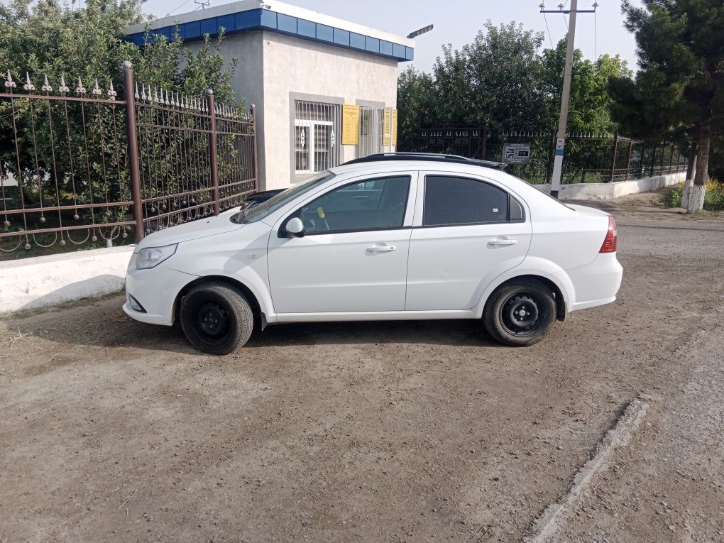Петно бор краска ёк радной