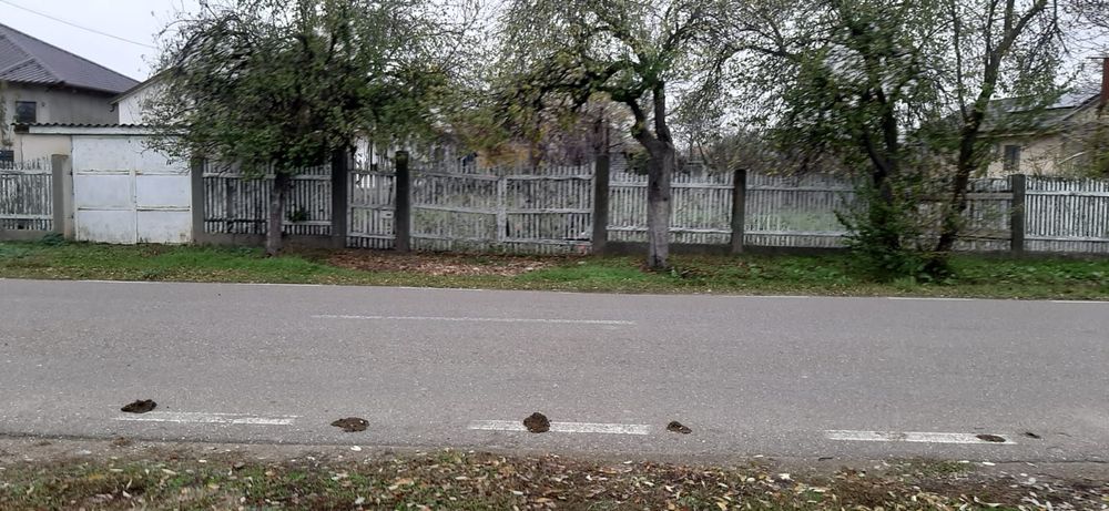 Casă plus Teren zonă stradală