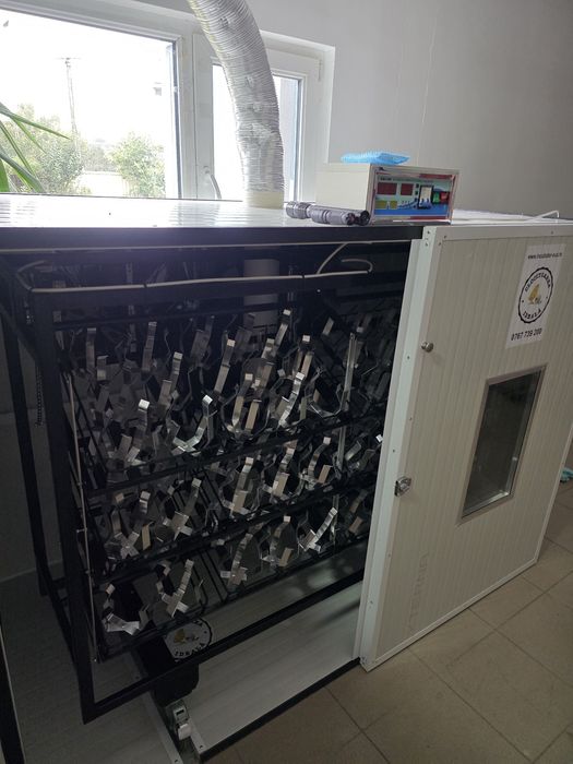 incubator oua strut