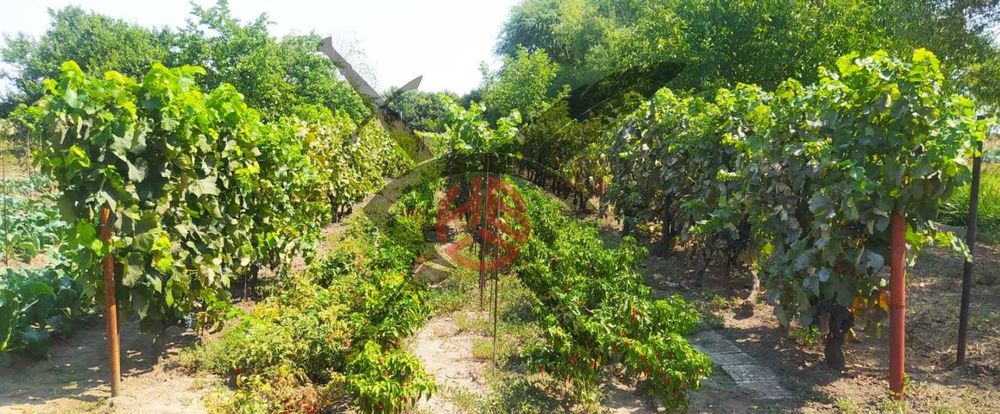 Земеделска земя в Костиево, 34744