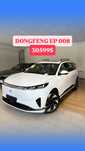 DONGFENG EP 008 Max 2025