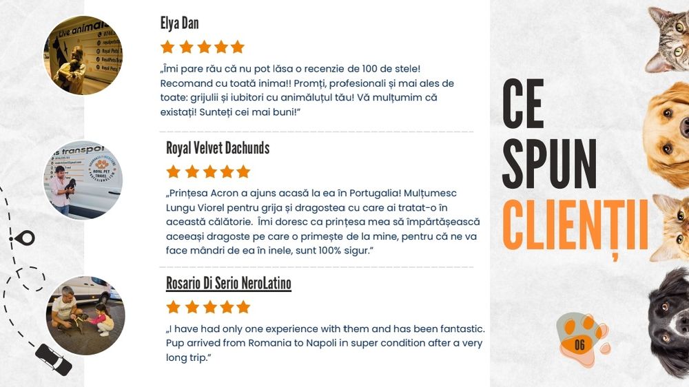 Transport autorizat A.N.S.V.S.A animale de companie Romania-Portugalia