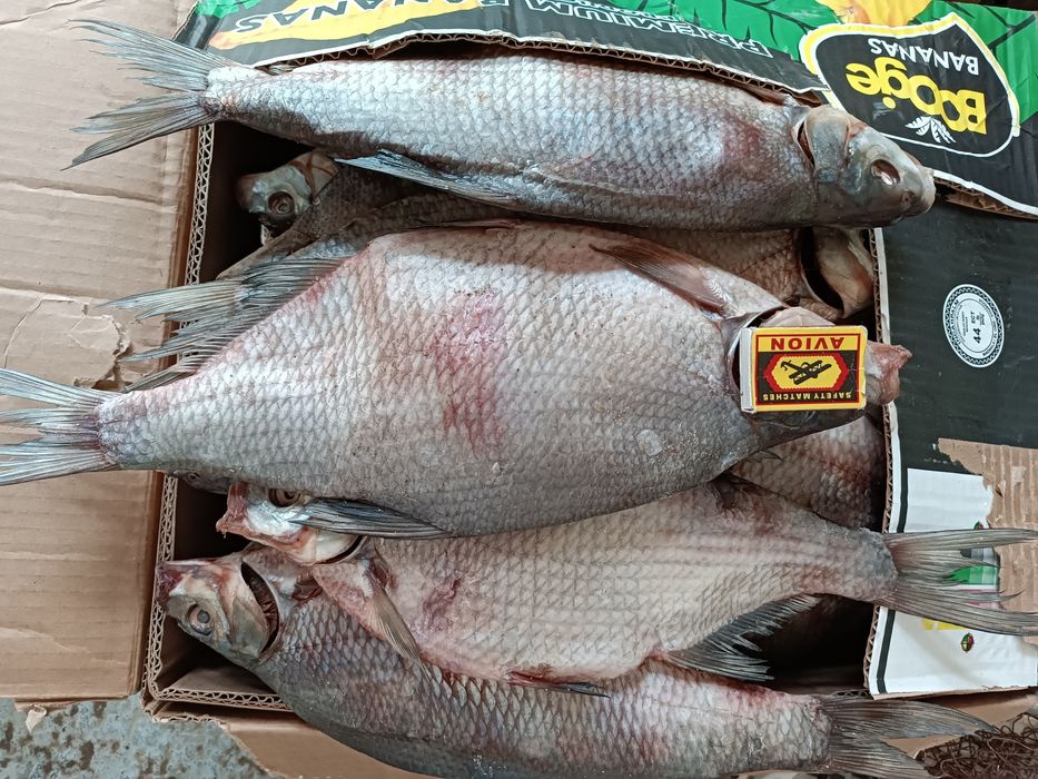 Лещ вяленный вкусный