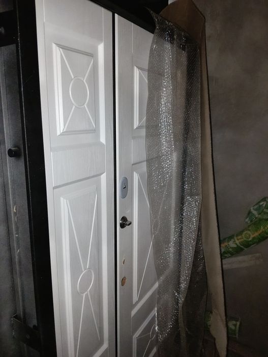 Дверь входная 1.20