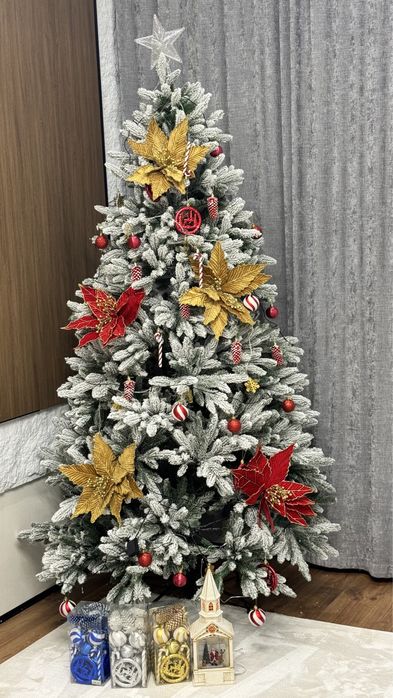 Ёлка коралевская