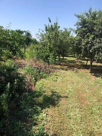 casa de vanzare Uliesti judet Dambovita