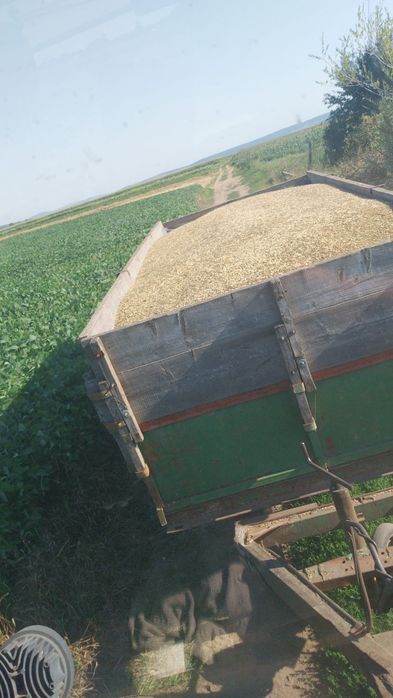 Cereale  de vinzare