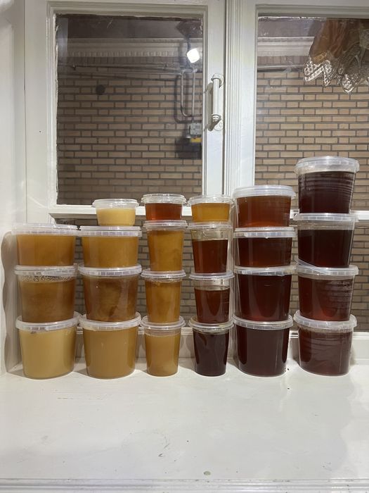 Натуральный мед янток/майский/оптом/в розницу/самый вкусный/доставка