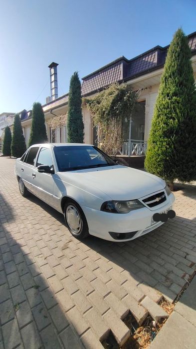 Мошинчи нагз дакорми?