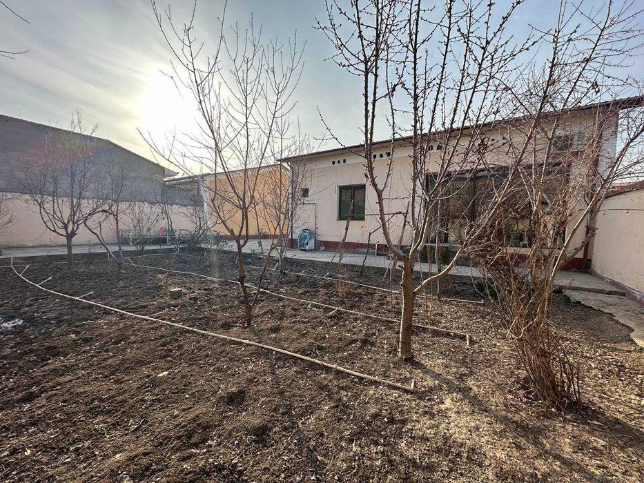 Срочно сдается дом 5 комнат,6 соток.ориентир Хумо тойхона.