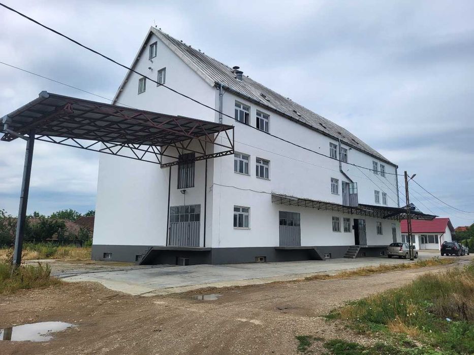 Moara de grau de vânzare în Bihor