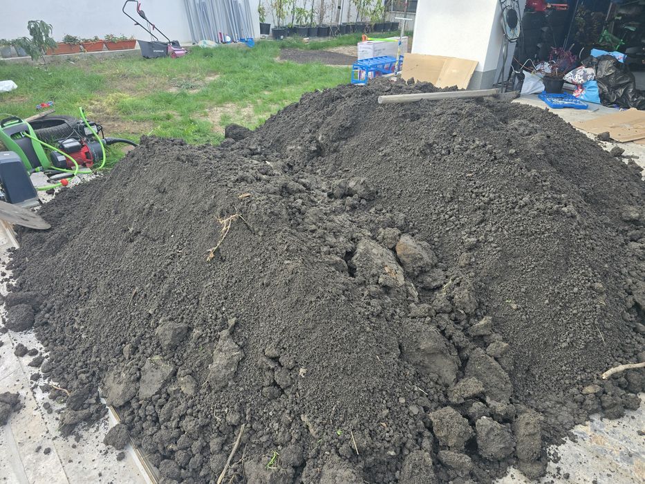 Pamant vegetal negru București sector 1 2 3 4 5 6 Ilfov Mogoșoaia