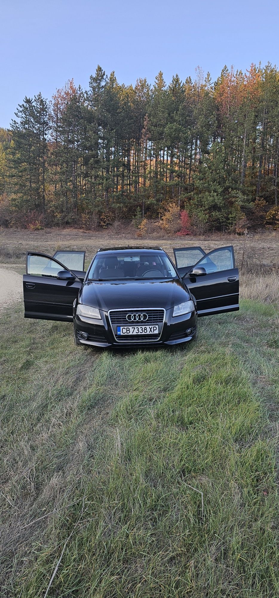 Audi A3 1.8 T FTSI 8P