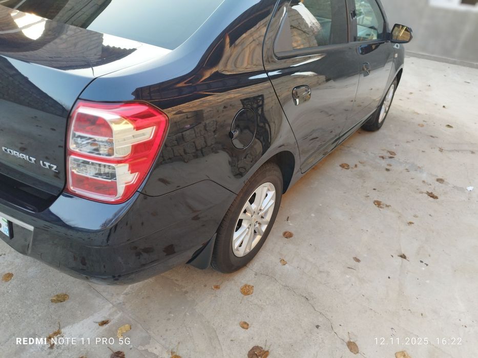 2023 краска тозза