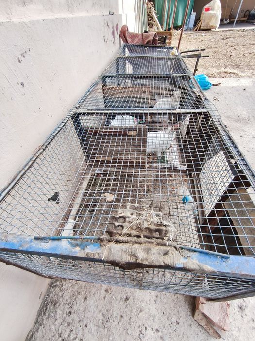 Quyon qafasi sotiladi