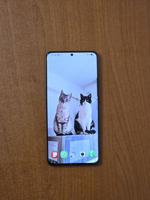 S21 Ultra 256/12 cu S-Pen si huse