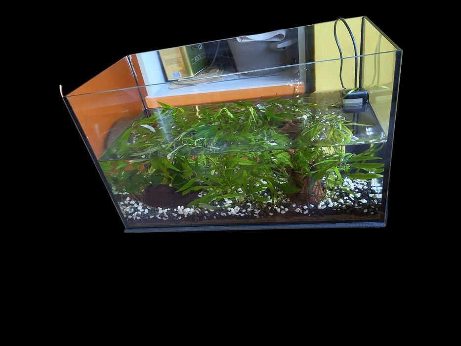 Аквариум 62 литра