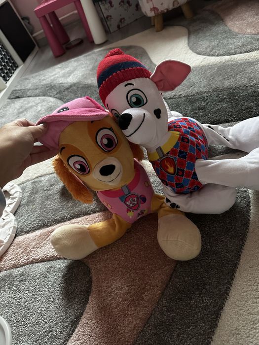 Patrula catelusilor sky si marshall