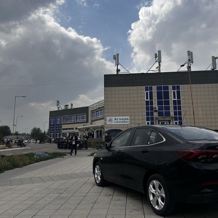 Сертификат автошколы. Бесплатная консультация по сдаче экзамена