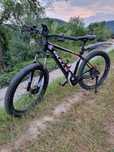 Bicicleta electrica