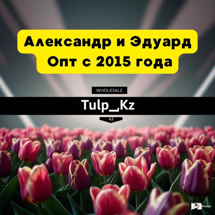 Тюльпаны оптом к 8 марта Астана прямой поставщик
