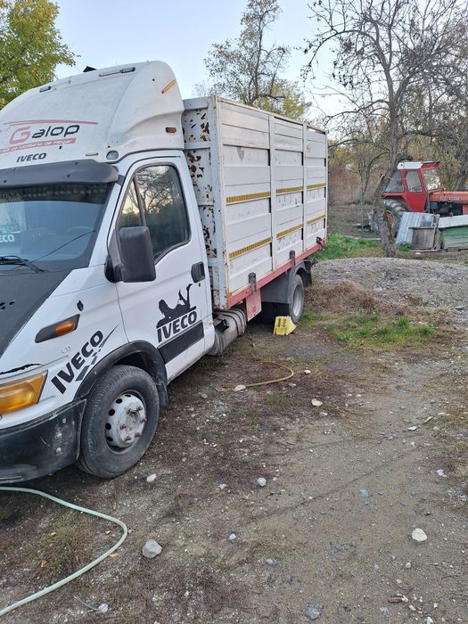 Vând camioneta iveco