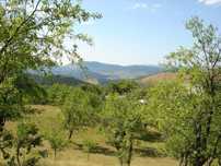Парцел 4 800 м2 Троян с ПУП