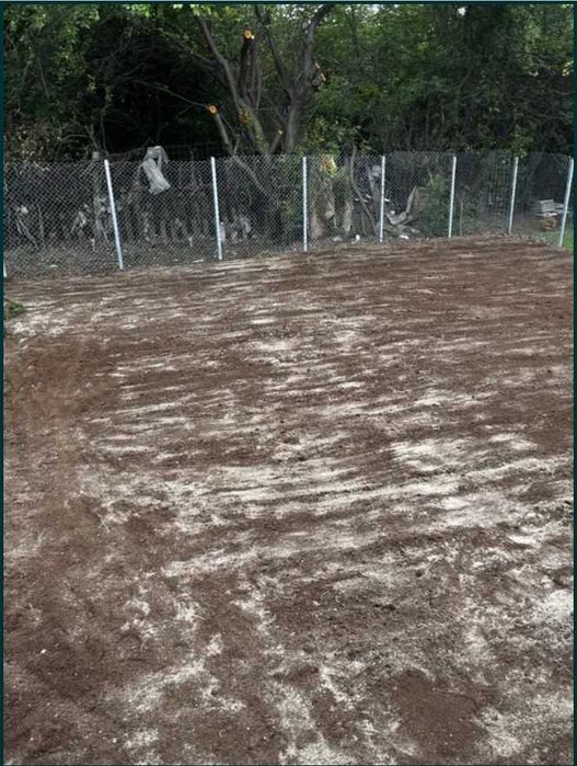 Peisagistica Profesionala