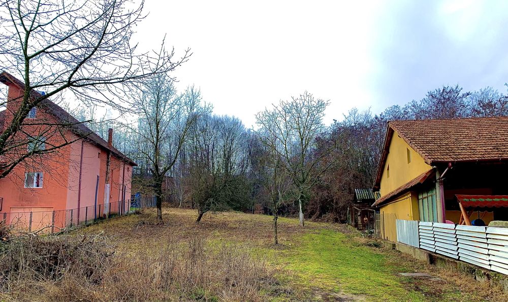 Teren de vanzare Calimanesti