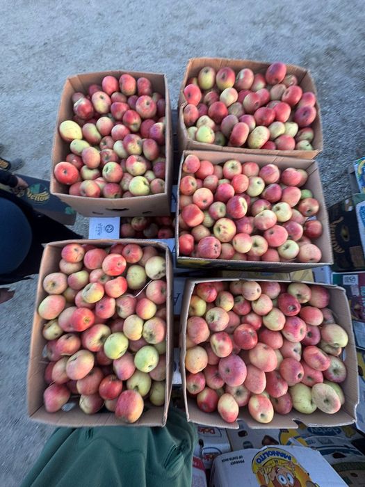 Vand Mere Pentru Consum ! Pot asigura si transport!