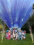 Artificii Gender Reveal - Baby shower -Declansare automata