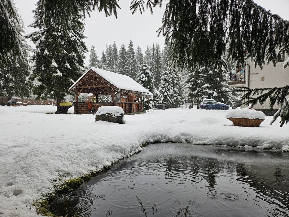 Cazare Casa Danielle