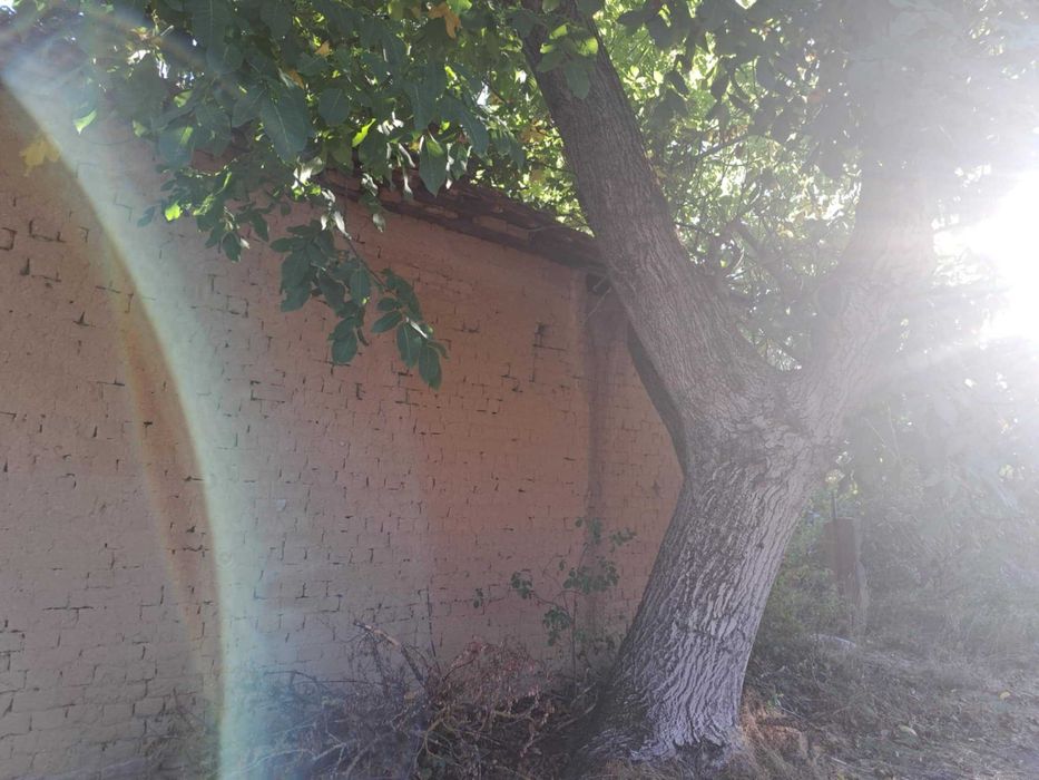 Поземлен имот - с. Смочан (къща с дворно място)