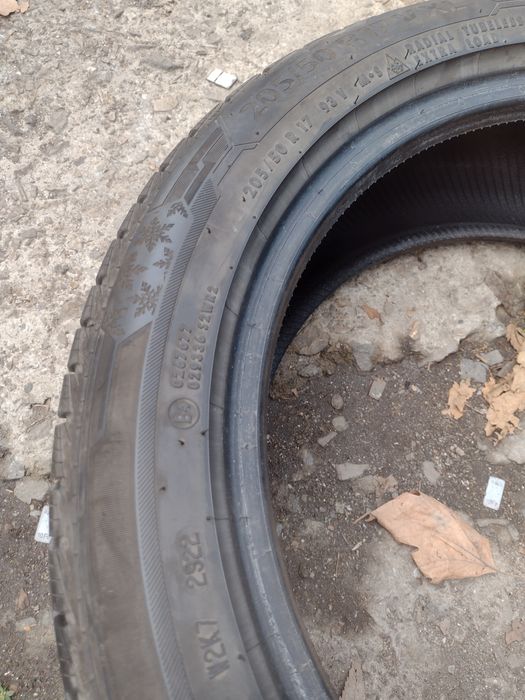 Barum Polaris5 2бр.205/50/17 дот2022