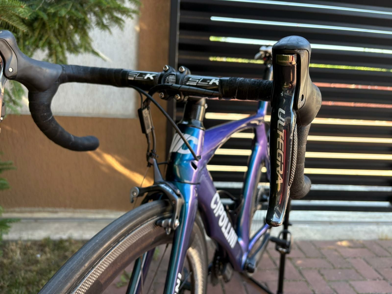 Cursiera/bicicleta italiana carbon CIPOLLINI Ultegra di2/roti carbon