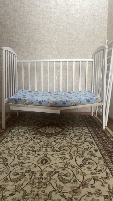 Манеж астындагы агашы сынып калган, ауыстыру керек