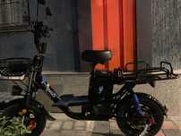 Monster skuter drongo