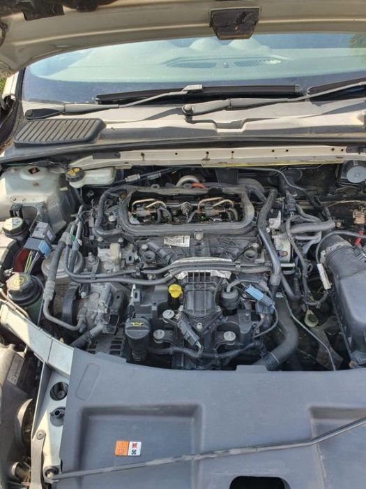 Motor 2.0 Tdci Euro 5 Ford Mondeo Galaxy S Max C Max Kuga