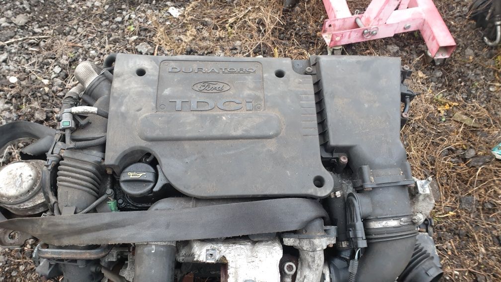 Motor 1.6 diesel Ford Fusion, Ford Fiesta