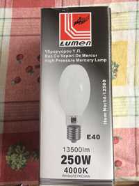 Bec lumen 250w E 40