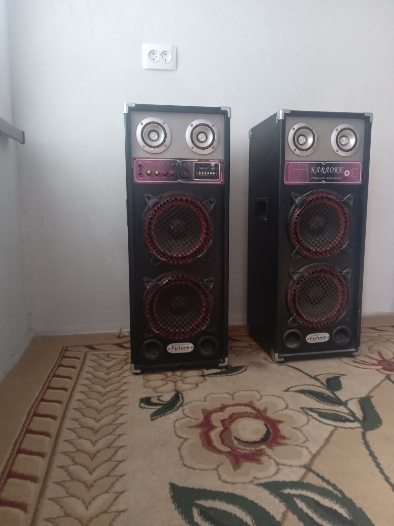 Калонка караоке усилителни