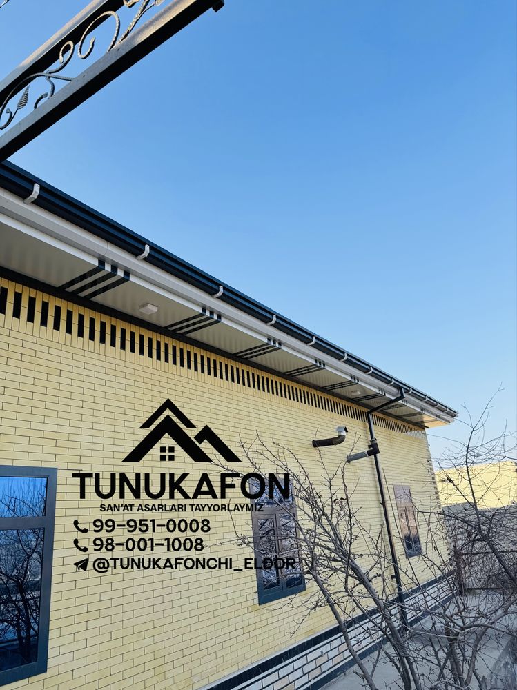 Tunukafonchi usta N1