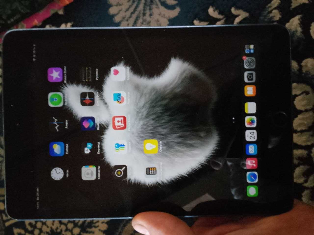 Ipad mini 5       .