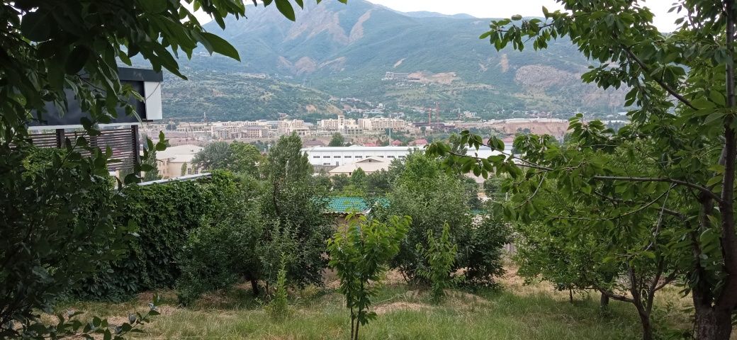 Дача сотилади Чорвоқда (Қапалда)