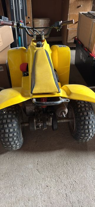 Atv copii Quadzilla buzz