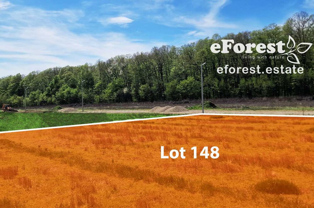 Loturi de teren lângă pădure