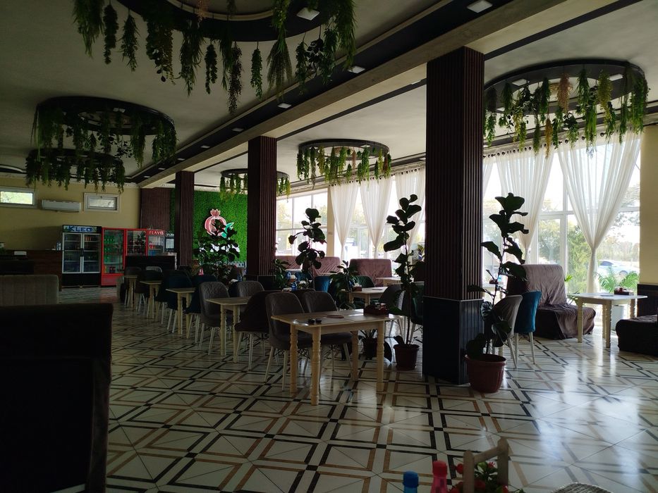 Kafe arenda milliy taomlar